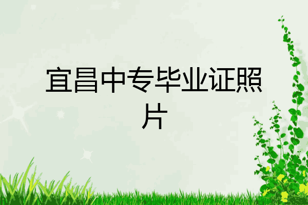 宜昌中专毕业证照片