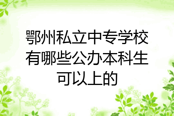 鄂州私立中专学校有哪些公办本科生可以上的