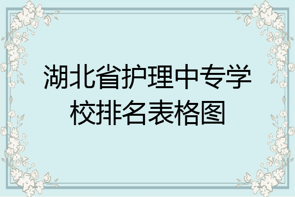 湖北省护理中专学校排名表格图