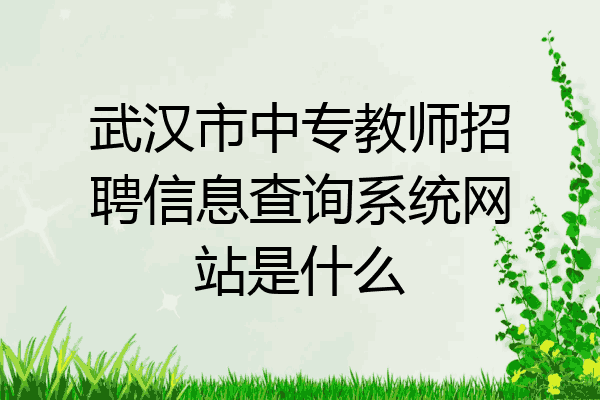 武汉市中专教师招聘信息查询系统网站是什么