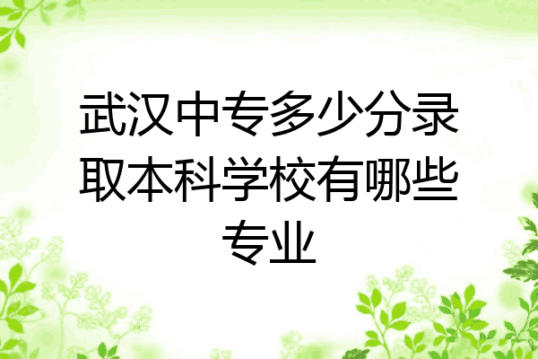 武汉中专多少分录取本科学校有哪些专业