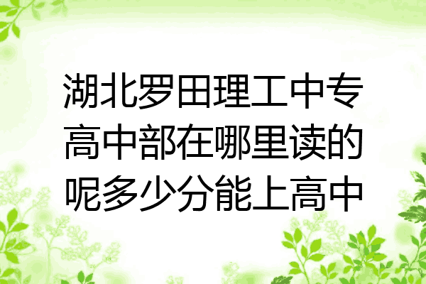 湖北罗田理工中专高中部在哪里读的呢多少分能上高中