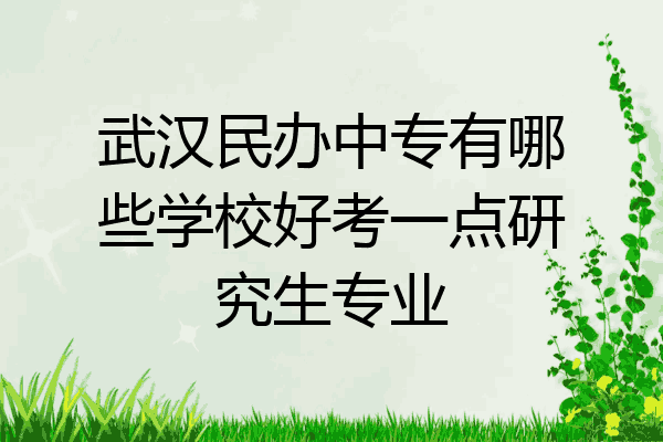 武汉民办中专有哪些学校好考一点研究生专业