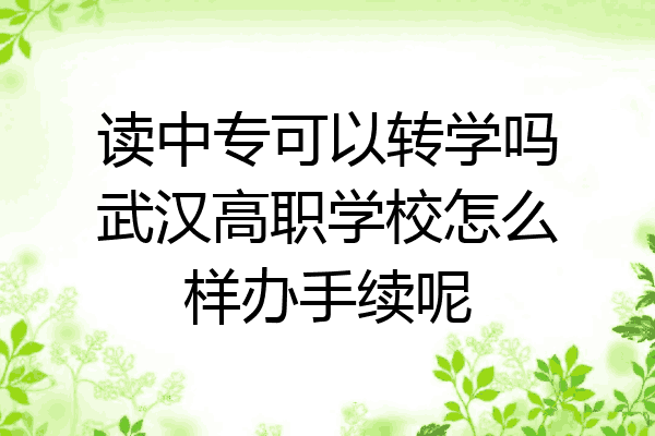 读中专可以转学吗武汉高职学校怎么样办手续呢