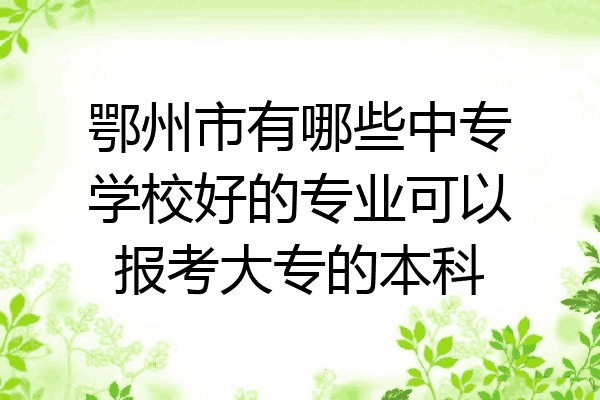 鄂州市有哪些中专学校好的专业可以报考大专的本科