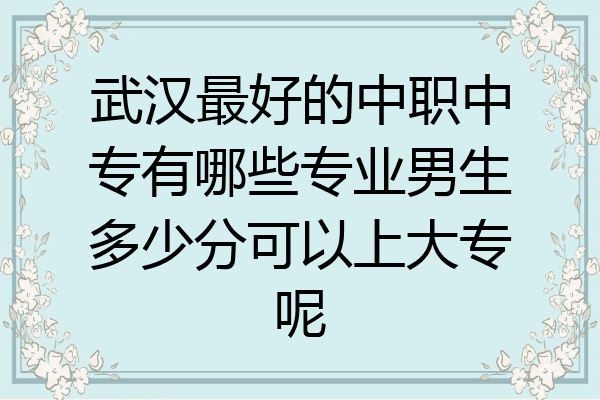 武汉最好的中职中专有哪些专业男生多少分可以上大专呢