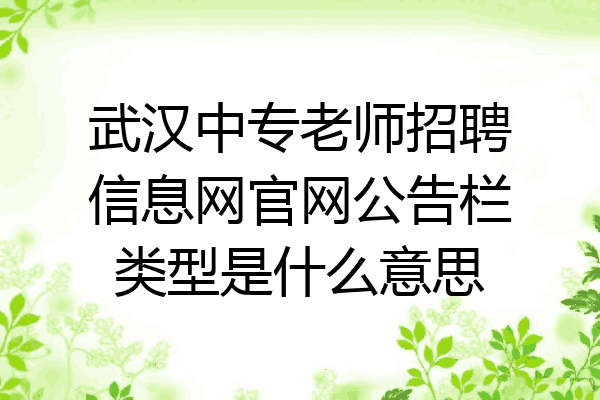 武汉中专老师招聘信息网官网公告栏类型是什么意思