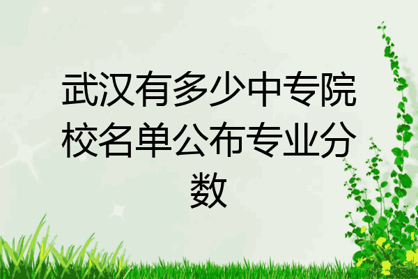武汉有多少中专院校名单公布专业分数