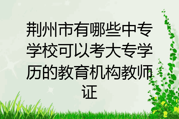 荆州市有哪些中专学校可以考大专学历的教育机构教师证
