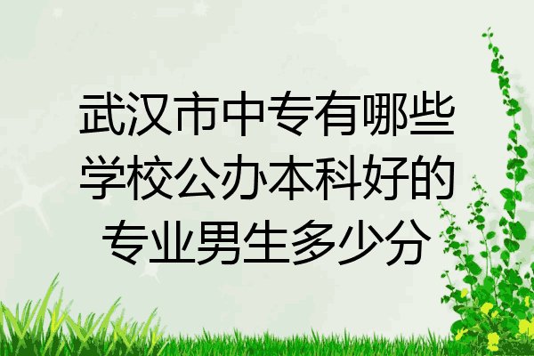 武汉市中专有哪些学校公办本科好的专业男生多少分