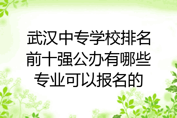 武汉中专学校排名前十强公办有哪些专业可以报名的