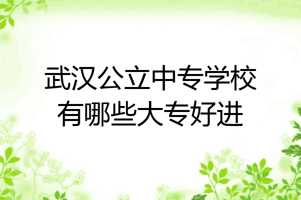 武汉公立中专学校有哪些大专好进