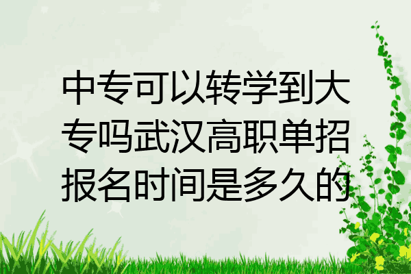 中专可以转学到大专吗武汉高职单招报名时间是多久的