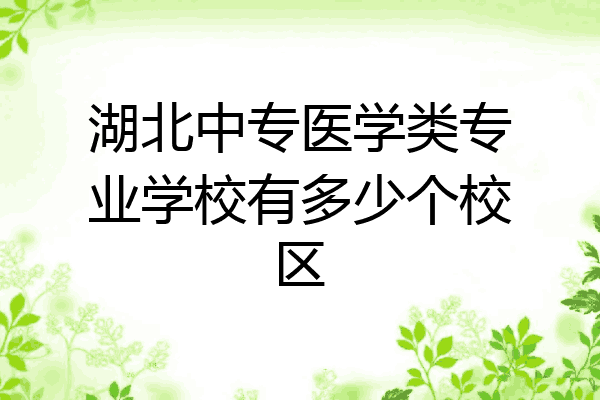 湖北中专医学类专业学校有多少个校区