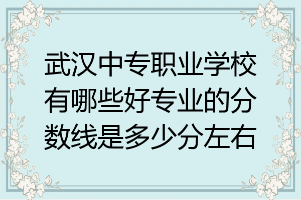 武汉中专职业学校有哪些好专业的分数线是多少分左右