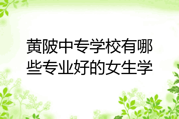 黄陂中专学校有哪些专业好的女生学