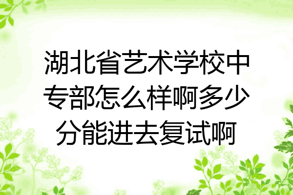 湖北省艺术学校中专部怎么样啊多少分能进去复试啊