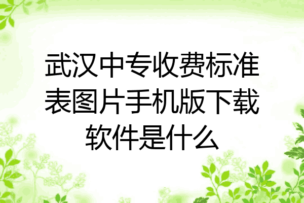 武汉中专收费标准表图片手机版下载软件是什么