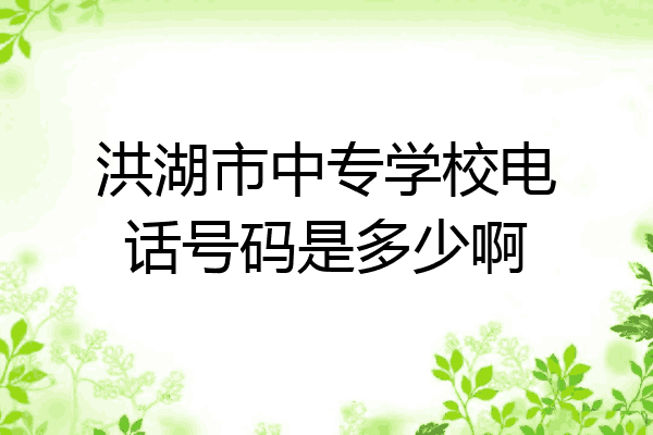 洪湖市中专学校电话号码是多少啊