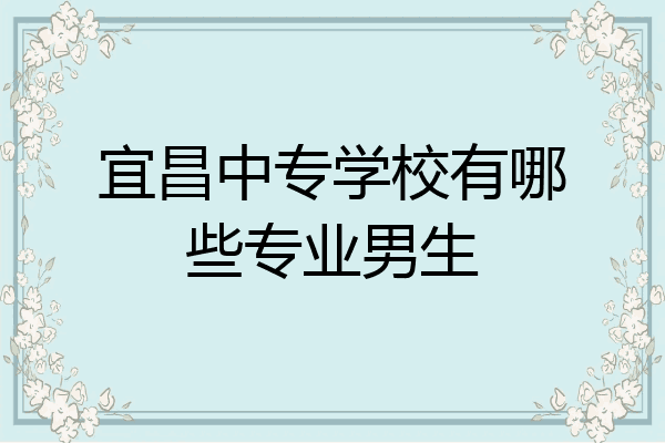 宜昌中专学校有哪些专业男生