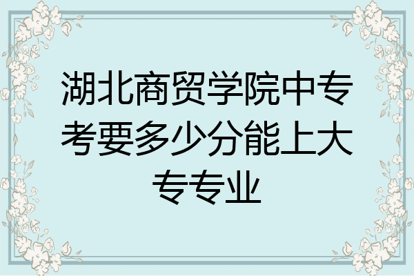 湖北商贸学院中专考要多少分能上大专专业
