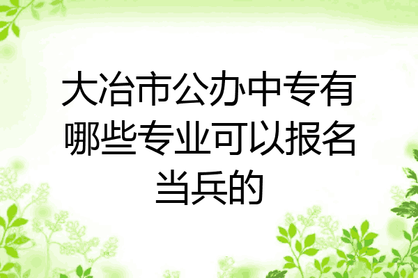 大冶市公办中专有哪些专业可以报名当兵的