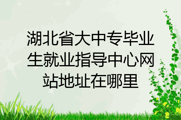 湖北省大中专毕业生就业指导中心网站地址在哪里