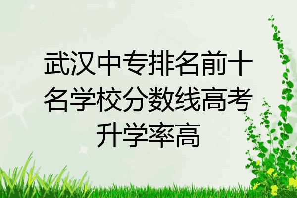 武汉中专排名前十名学校分数线高考升学率高