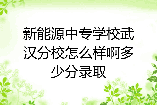 新能源中专学校武汉分校怎么样啊多少分录取