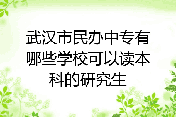 武汉市民办中专有哪些学校可以读本科的研究生