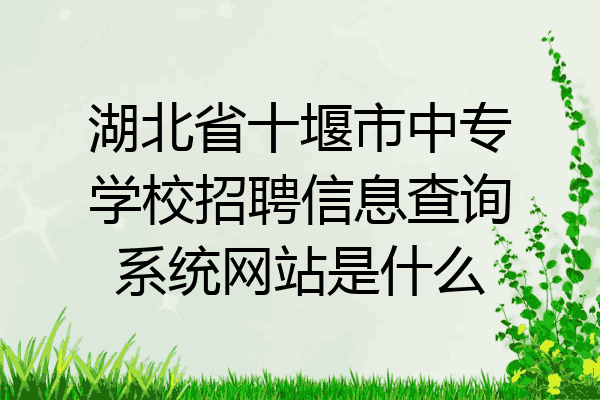 湖北省十堰市中专学校招聘信息查询系统网站是什么
