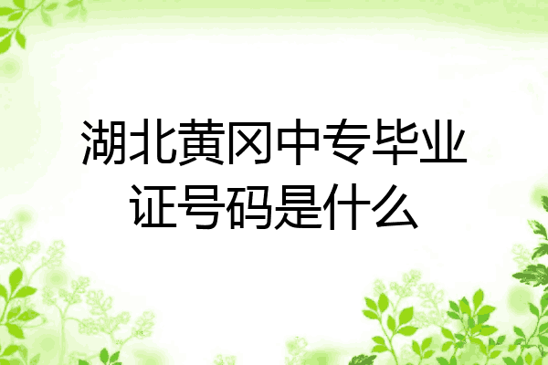 湖北黄冈中专毕业证号码是什么