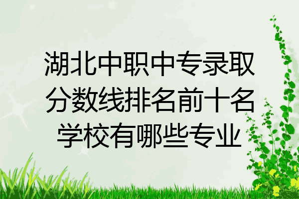 湖北中职中专录取分数线排名前十名学校有哪些专业