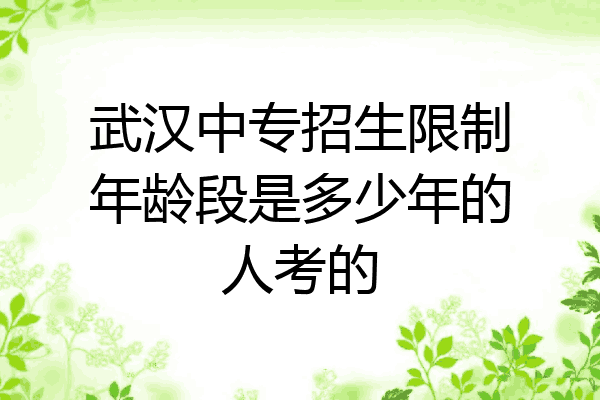 武汉中专招生限制年龄段是多少年的人考的