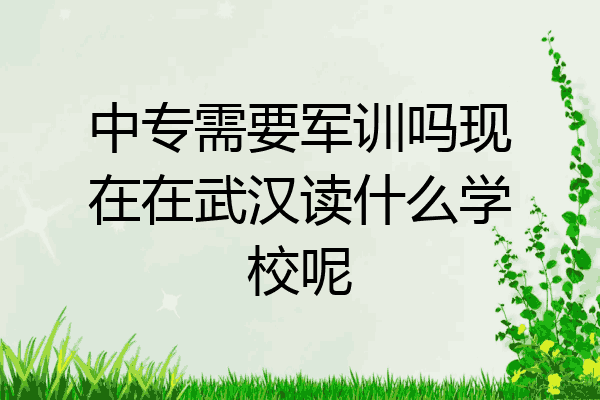 中专需要军训吗现在在武汉读什么学校呢