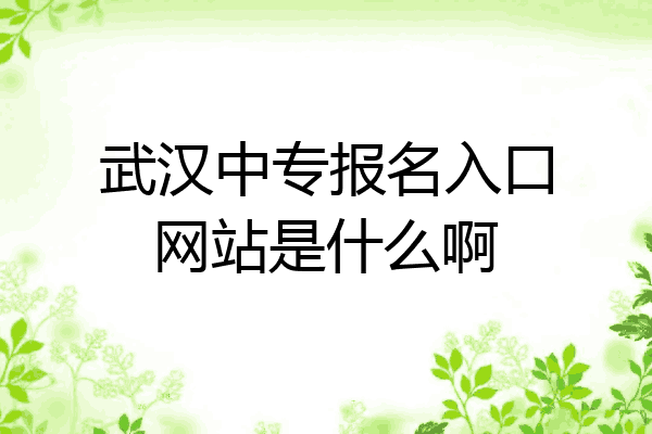 武汉中专报名入口网站是什么啊