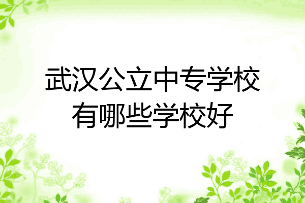 武汉公立中专学校有哪些学校好