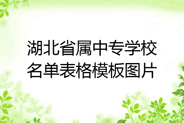 湖北省属中专学校名单表格模板图片