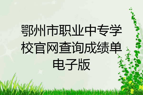 鄂州市职业中专学校官网查询成绩单电子版