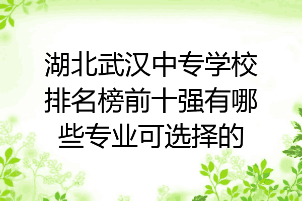 湖北武汉中专学校排名榜前十强有哪些专业可选择的