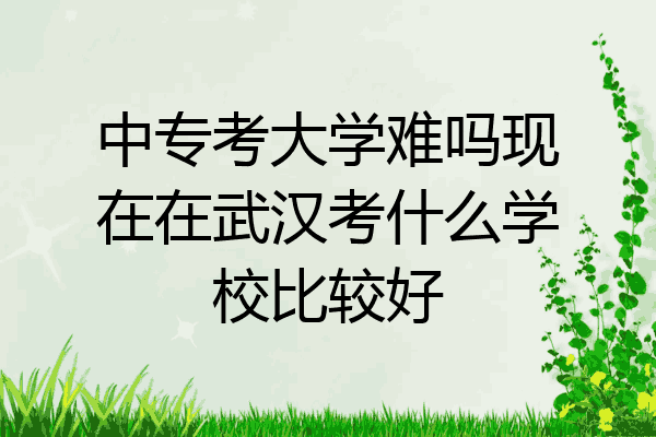 中专考大学难吗现在在武汉考什么学校比较好