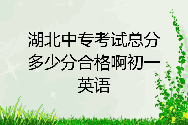 湖北中专考试总分多少分合格啊初一英语