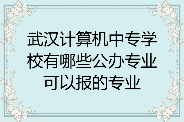 武汉计算机中专学校有哪些公办专业可以报的专业