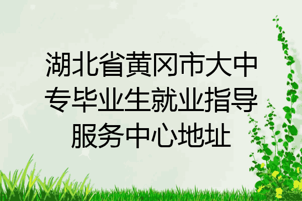 湖北省黄冈市大中专毕业生就业指导服务中心地址