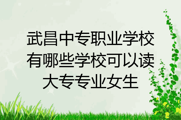 武昌中专职业学校有哪些学校可以读大专专业女生