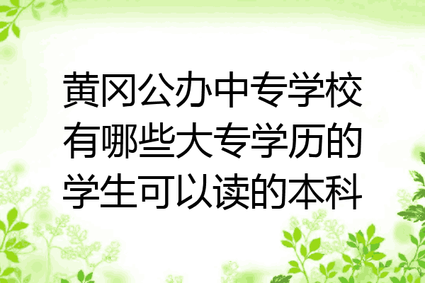 黄冈公办中专学校有哪些大专学历的学生可以读的本科