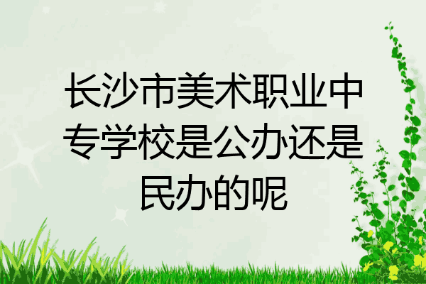 长沙市美术职业中专学校是公办还是民办的呢