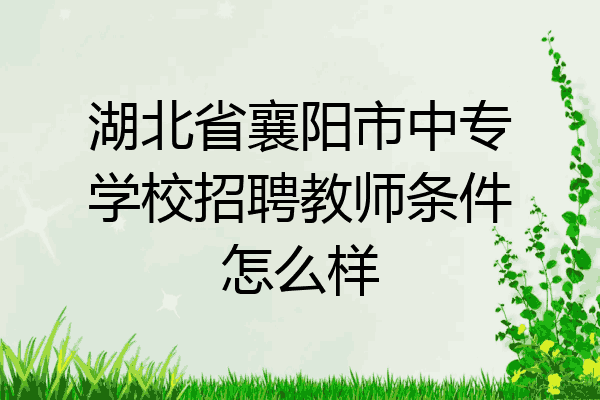 湖北省襄阳市中专学校招聘教师条件怎么样