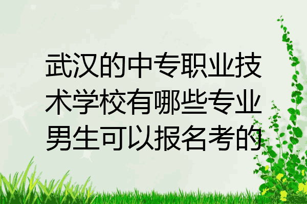 武汉的中专职业技术学校有哪些专业男生可以报名考的