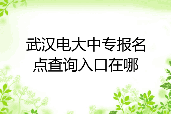 武汉电大中专报名点查询入口在哪